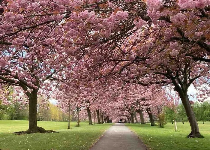 Garden Apartment, With Parking Harrogate