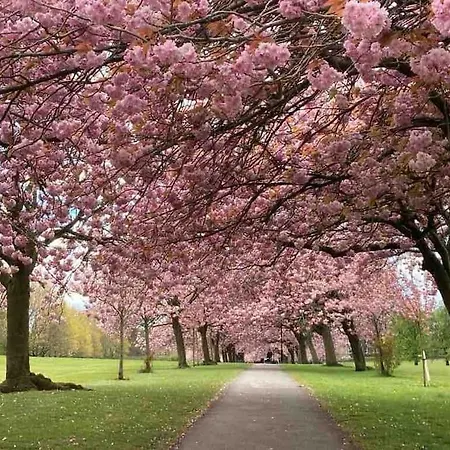 Garden Apartment, With Parking Harrogate