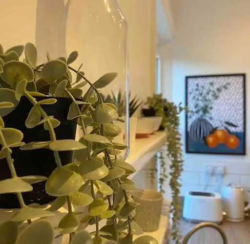 Appartement Garden Apartment, With Parking